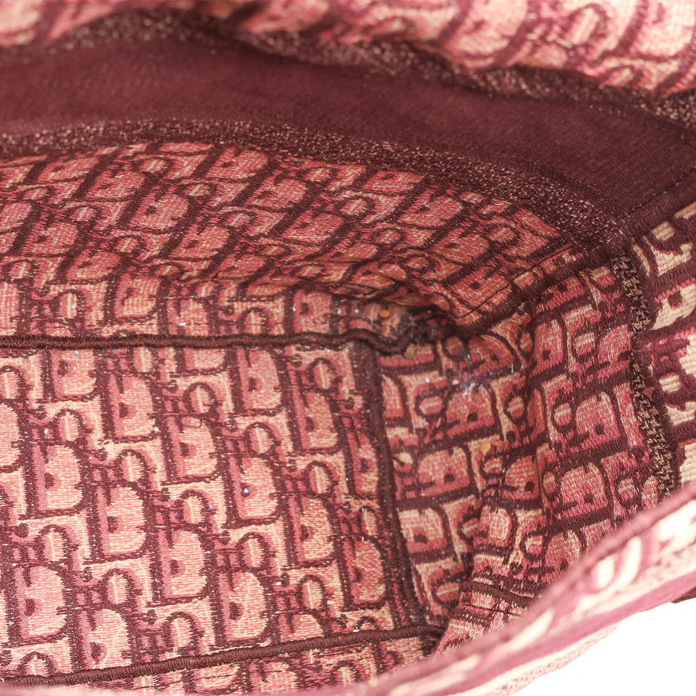 Oblique Diorcamp Bag - Medium
