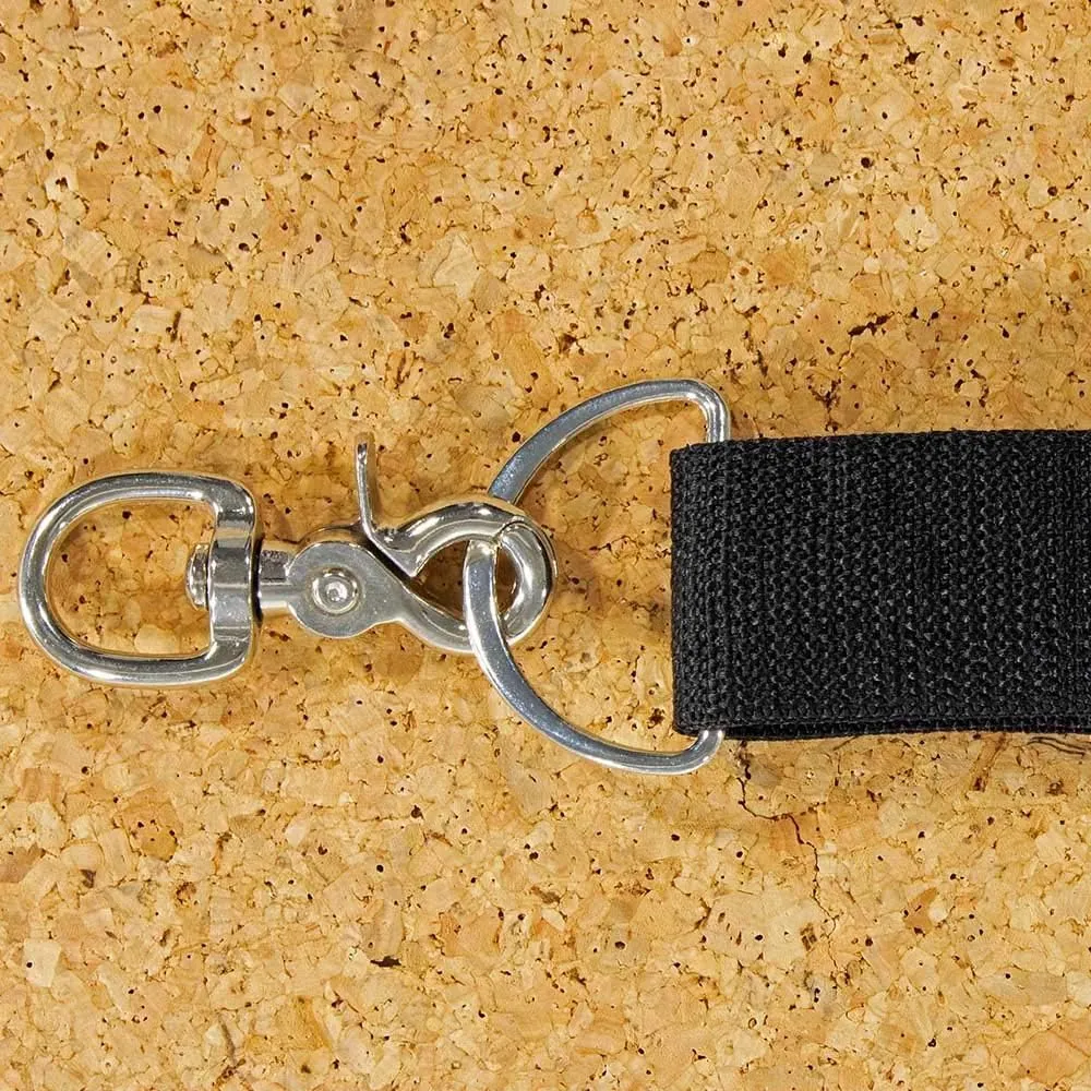 Paracord Planet Flat Metal D-Ring  2 Inch Silver  Do It Yourself Bags, Accessories, Pet Collars, and Straps (2 Pack)